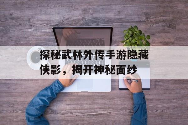 探秘武林外传手游隐藏侠影，揭开神秘面纱